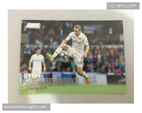 斯旺西与埃弗顿历史交锋战绩分析及近期表现对比